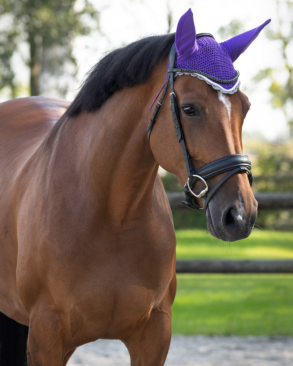 Ear hat Color