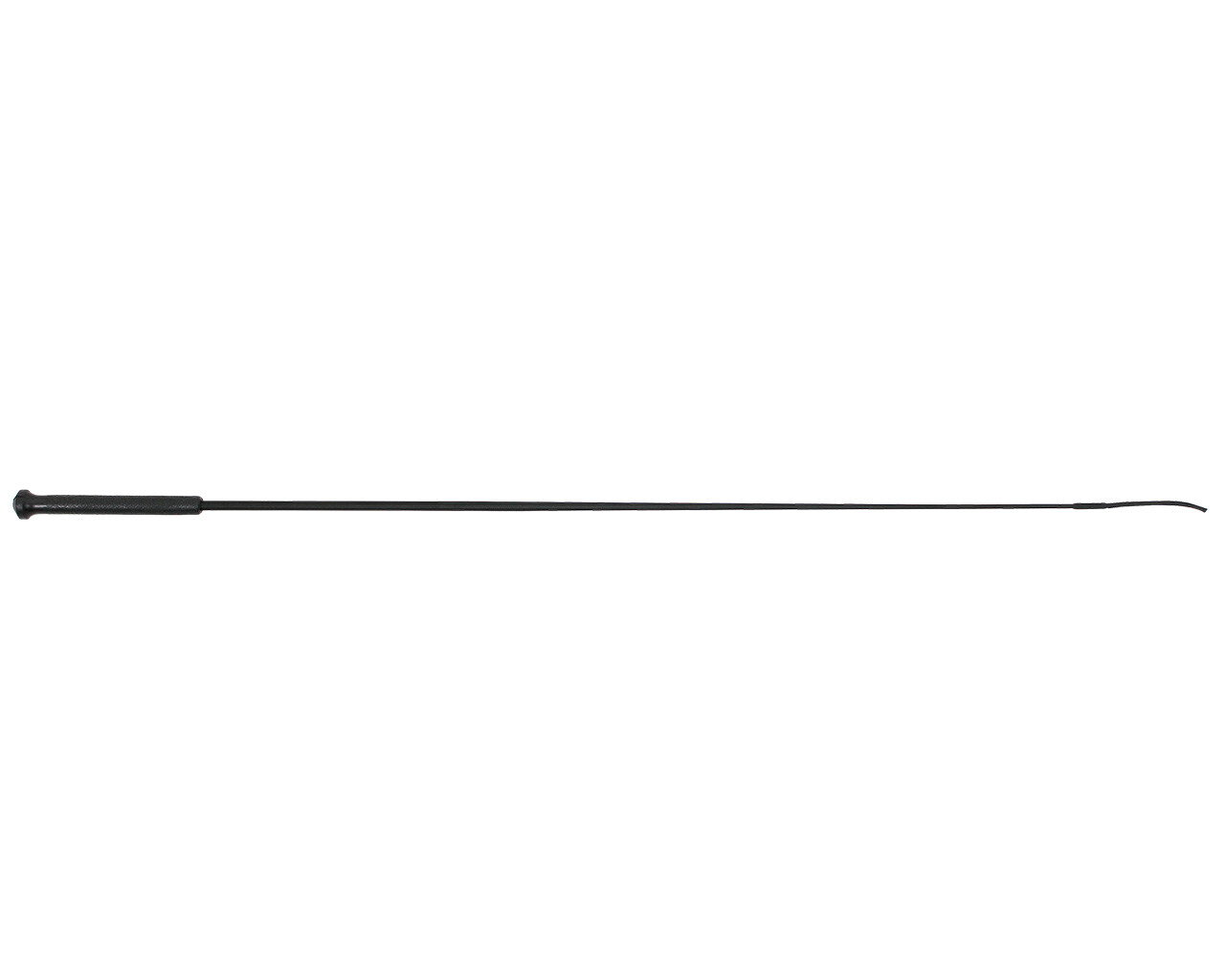 Dressage whip