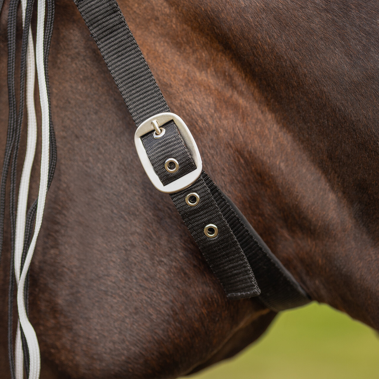 Anti-fly fringe extra