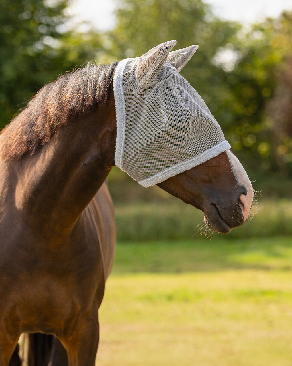 Fly mask with ear protection