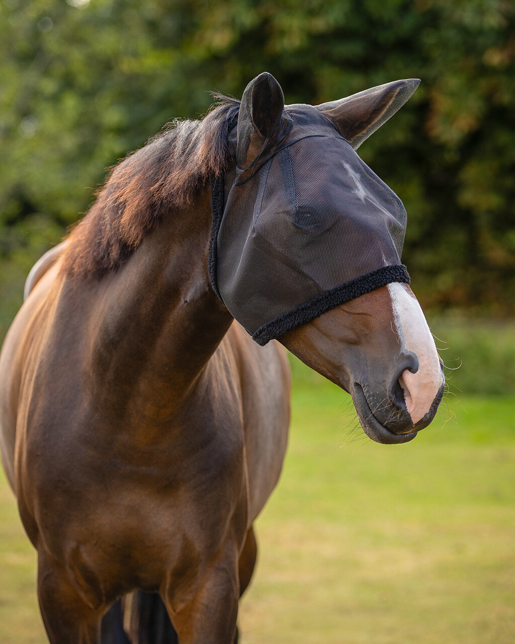 Fly mask with ear protection