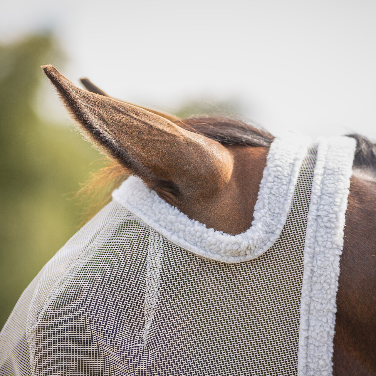 Fly mask without ear protection