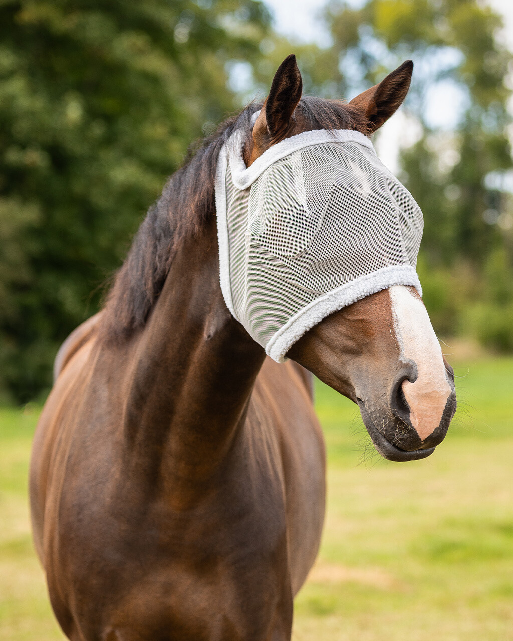 Fly mask without ear protection