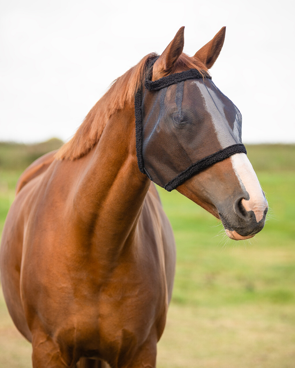 Fly mask without ear protection