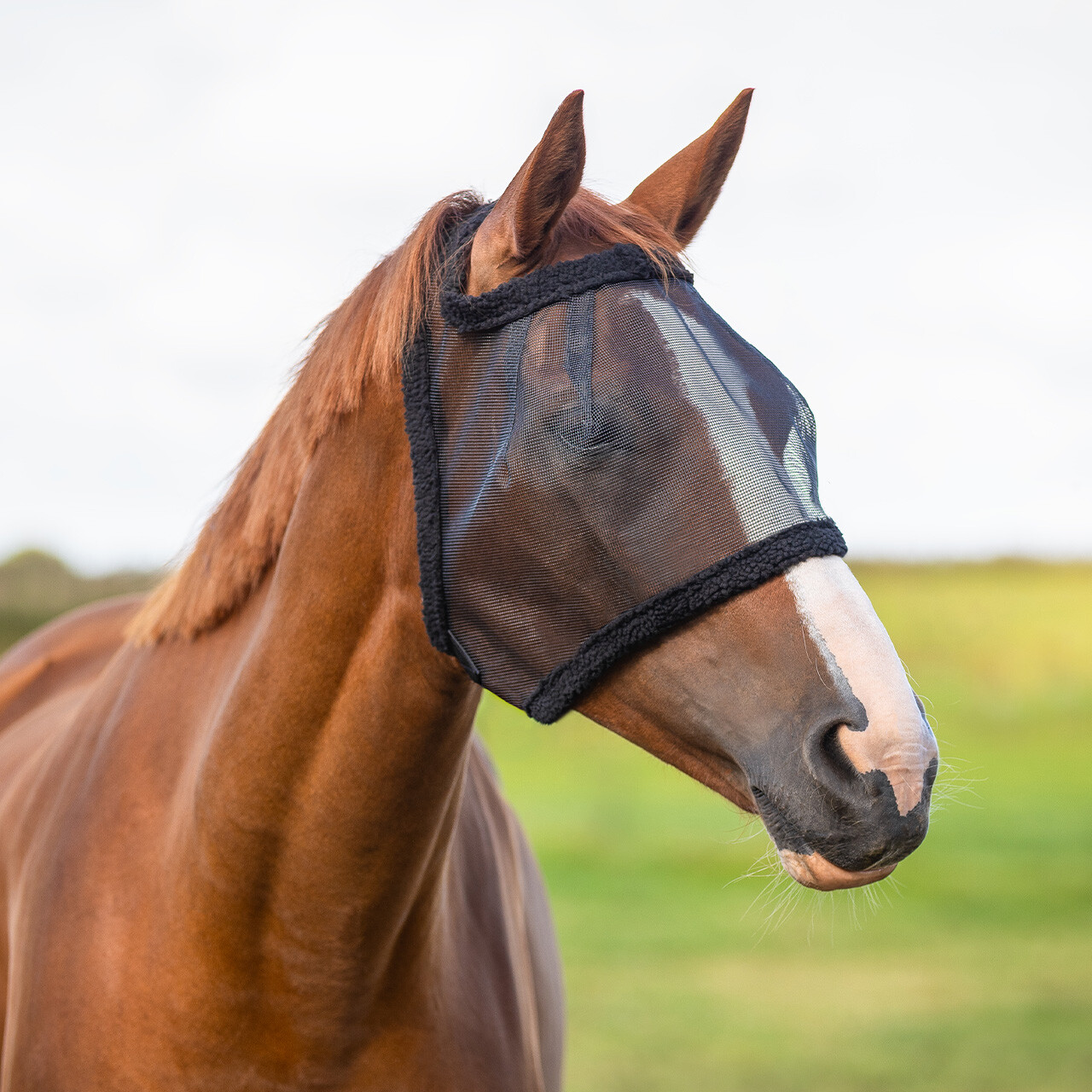 Fly mask without ear protection
