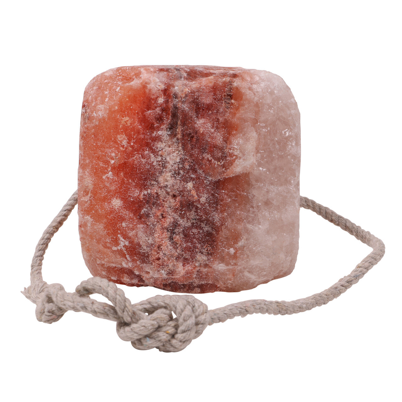 Himalayan saltlick