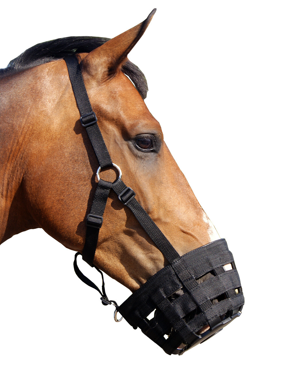 Grazemuzzle