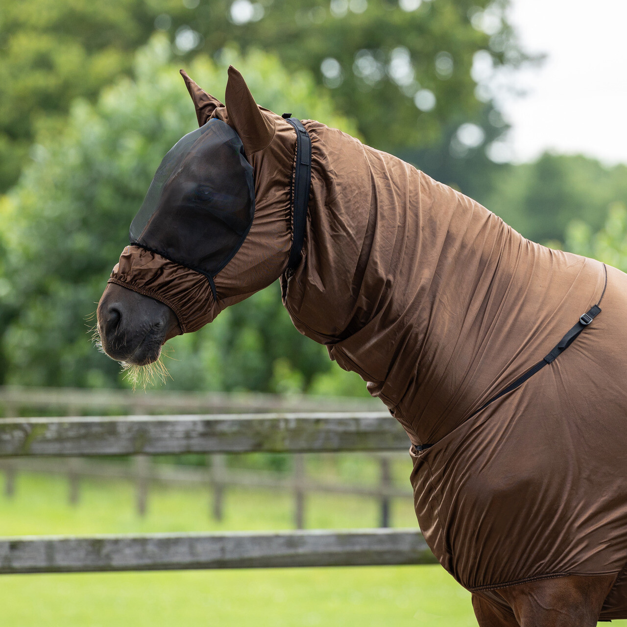 Maska na ekzém s ochranou uší hnědá Maska na ekzém s ochranou uší hnědá