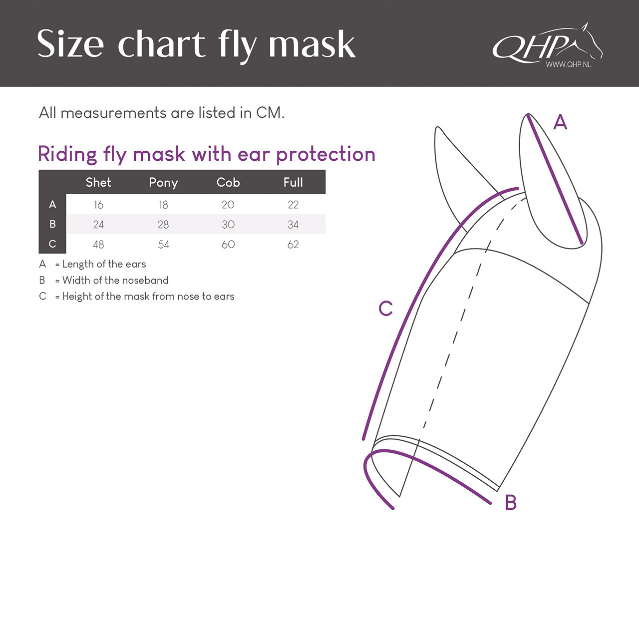 Riding fly mask with ear protection