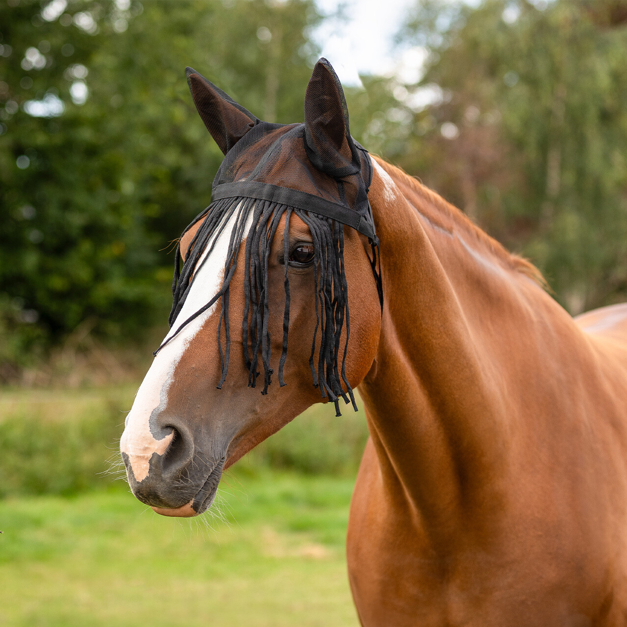 Fly fringe with ears