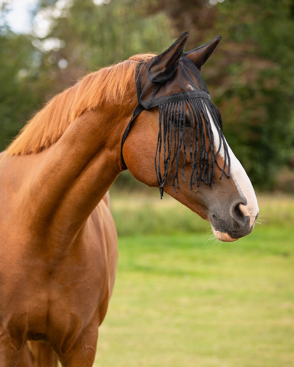 Fly fringe with ears