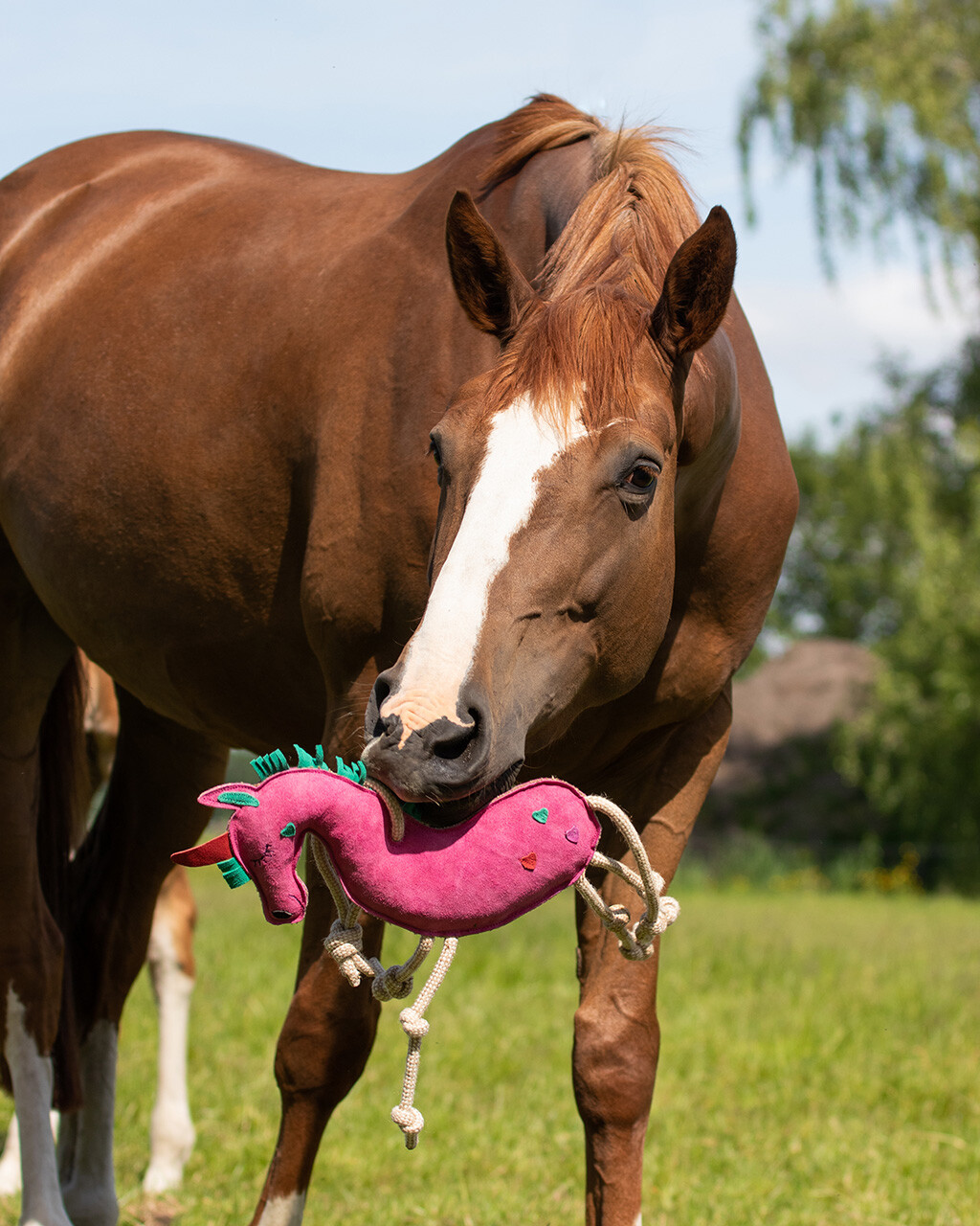 Horse toy