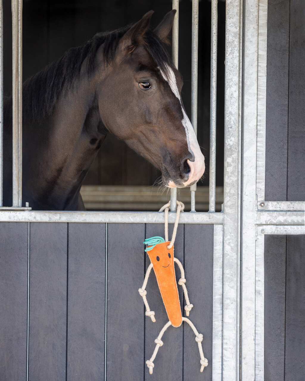 Horse toy