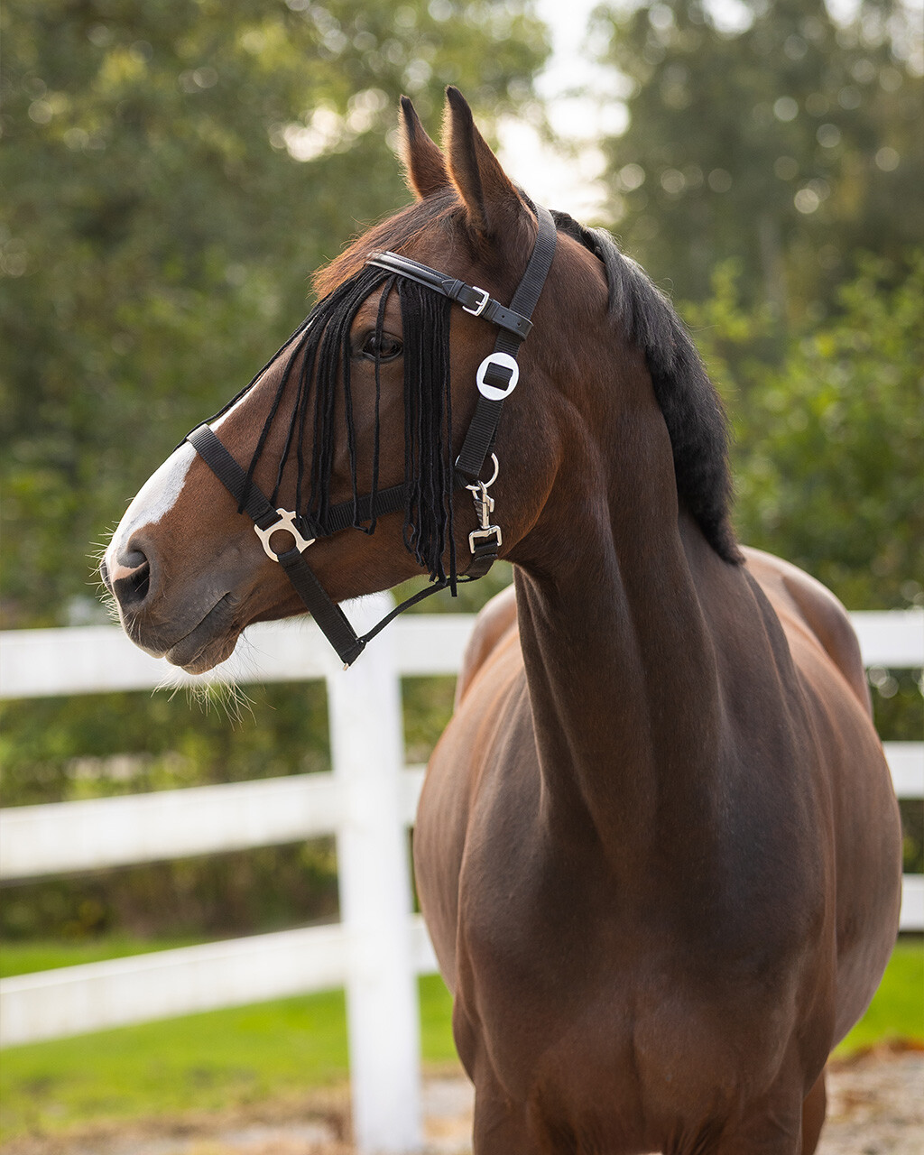 Anti-Fly fringe leather