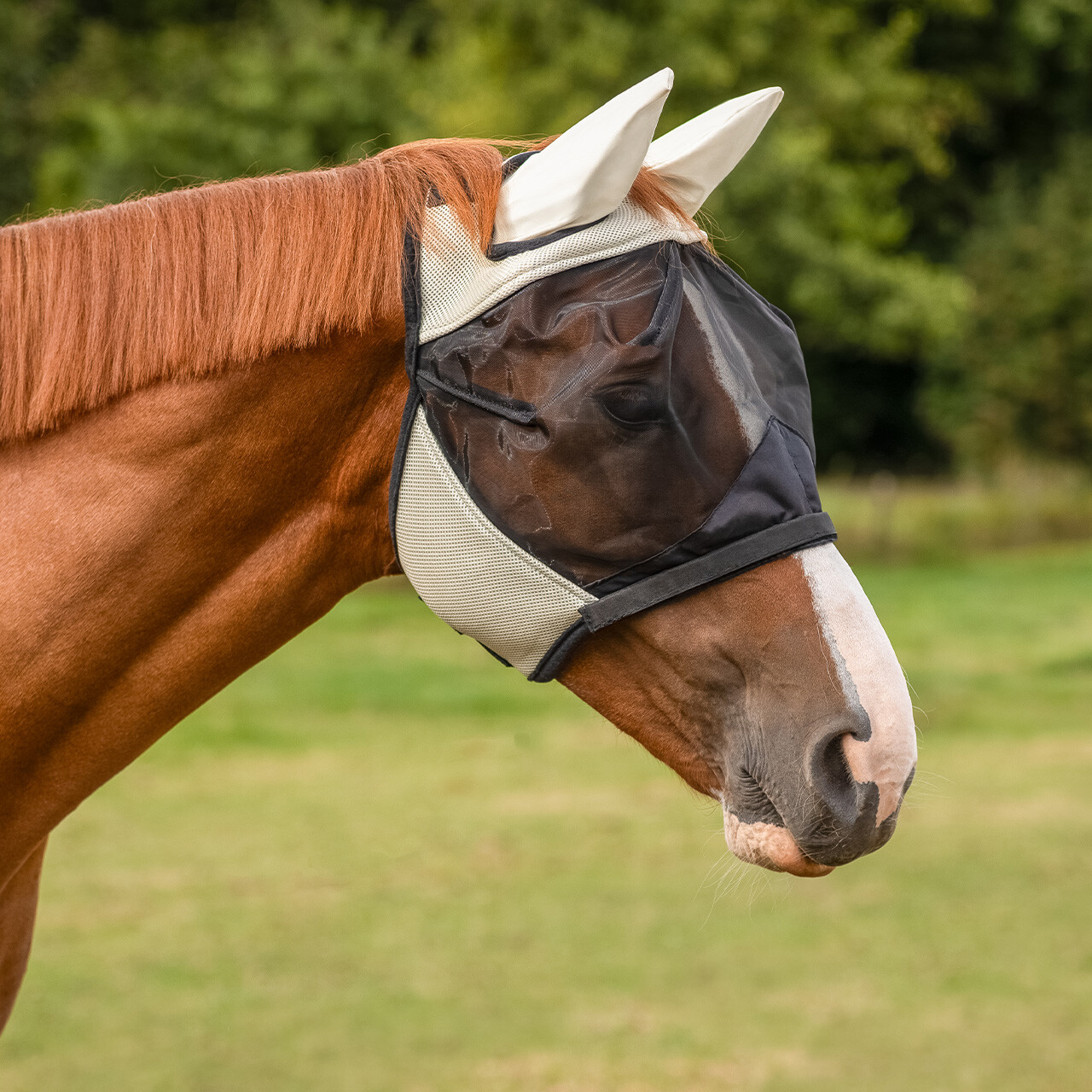 Fly Mask with detachable nose flap