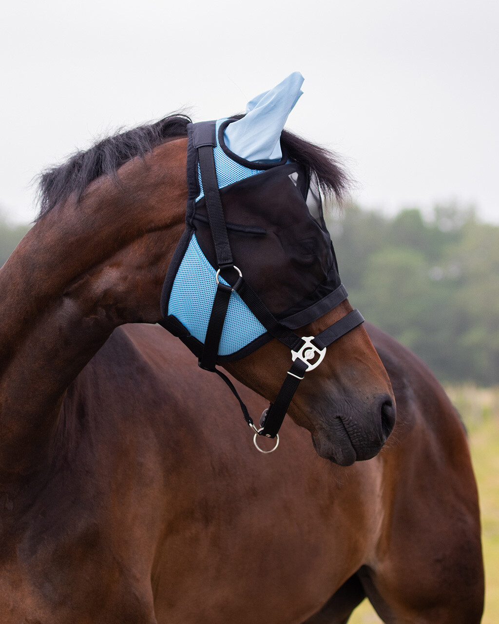 Fly Mask with detachable nose flap
