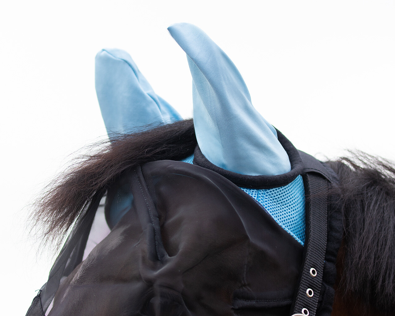 Fly Mask with detachable nose flap