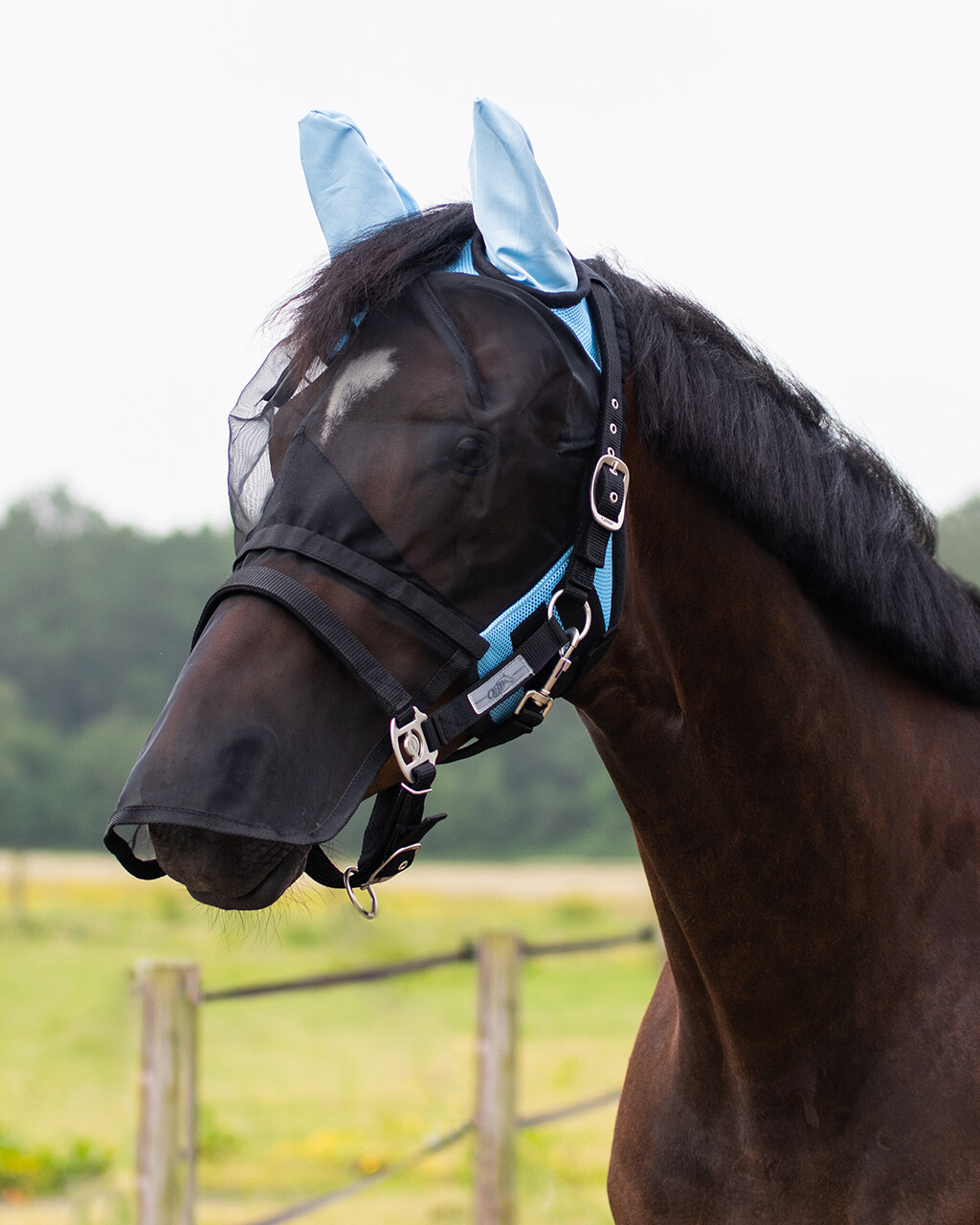 Fly Mask with detachable nose flap