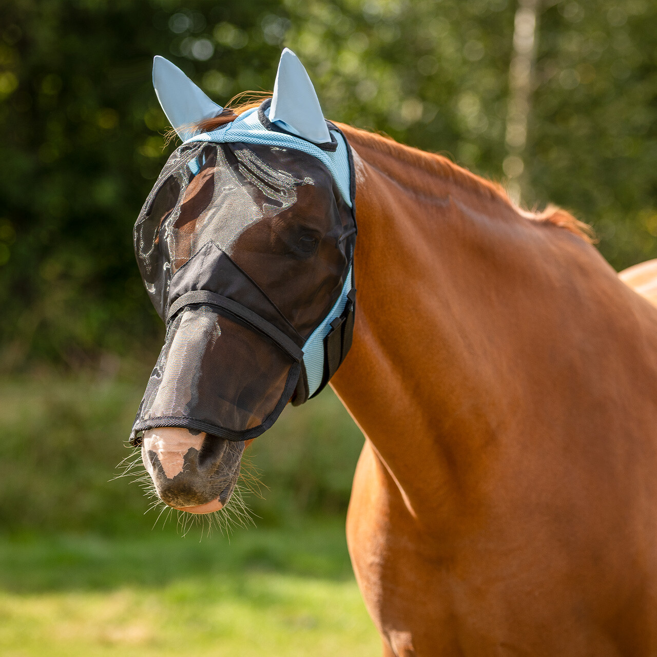 Fly Mask with detachable nose flap