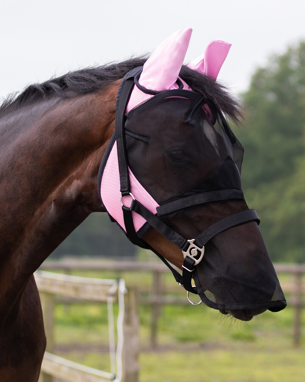 Fly Mask with detachable nose flap