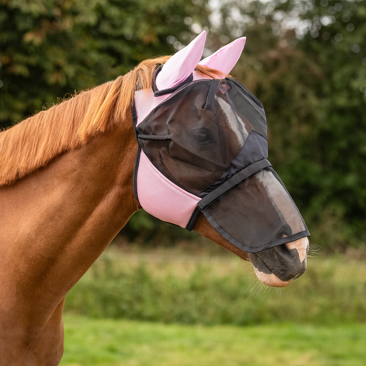 Fly Mask with detachable nose flap