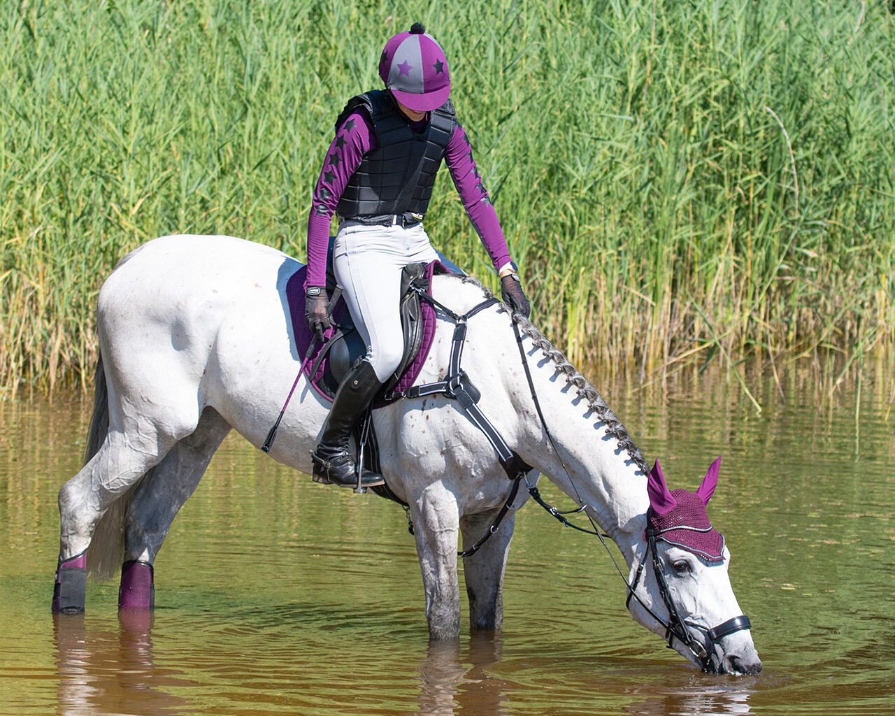 Jumping whip Eldorado QHP Everything for horse and rider