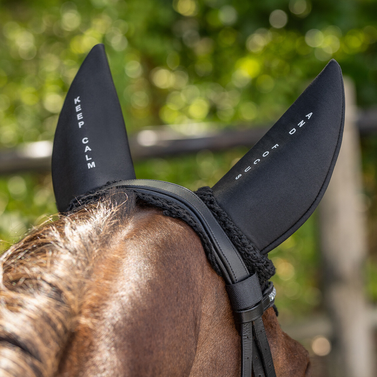 Ear net 'Keep calm and focus'