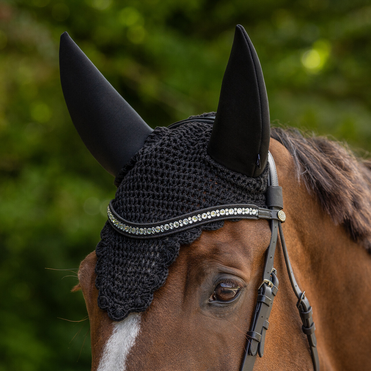 Ear net 'Keep calm and focus'