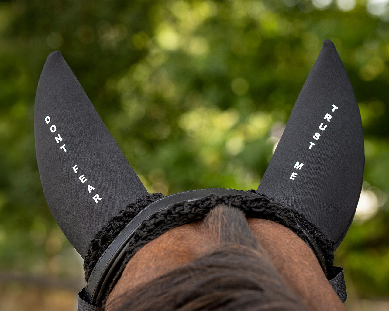 Ear net 'Don't fear, trust me'