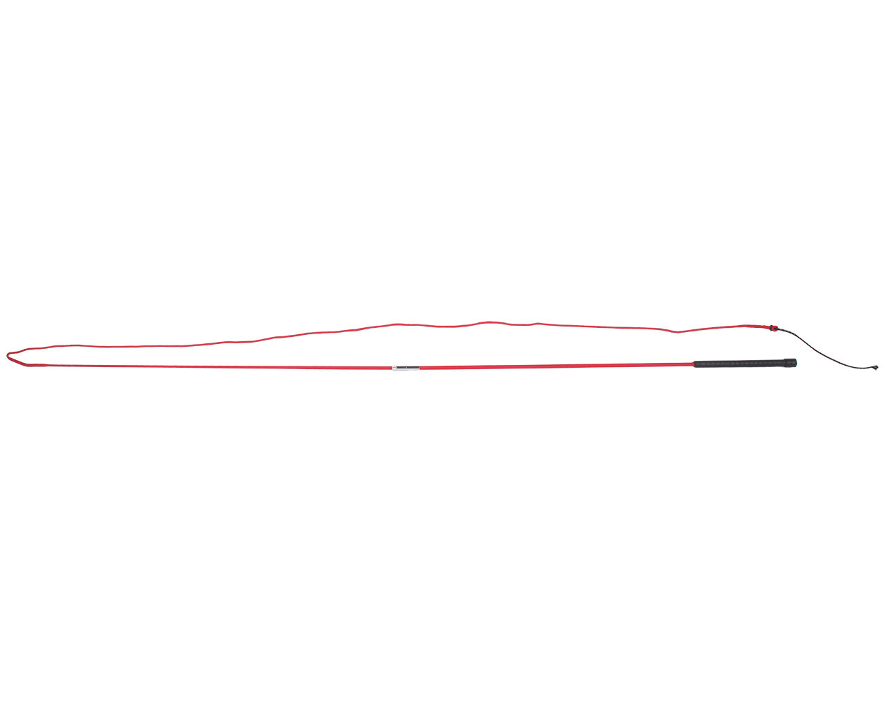 Lunging whip divisible