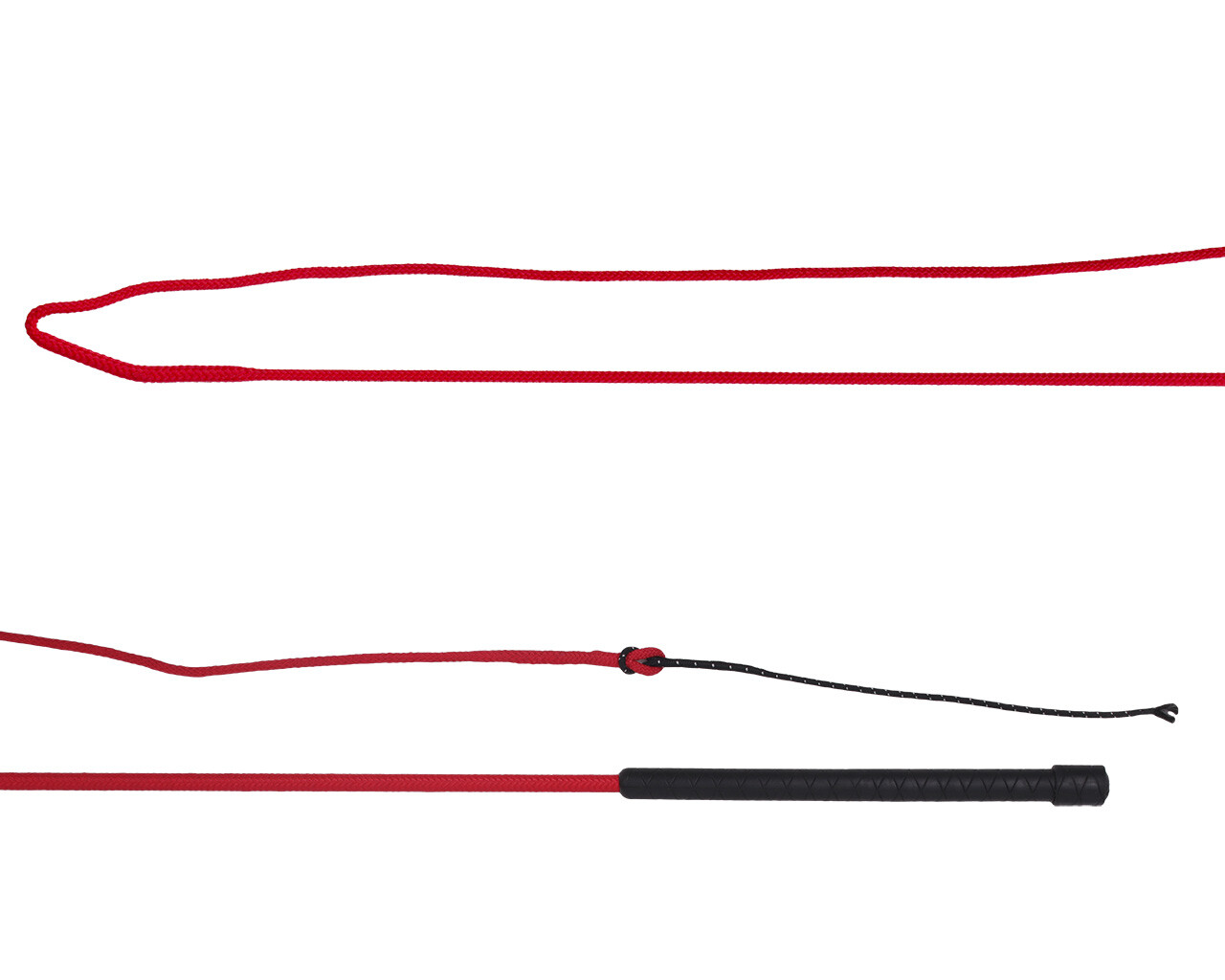 Lunging whip divisible