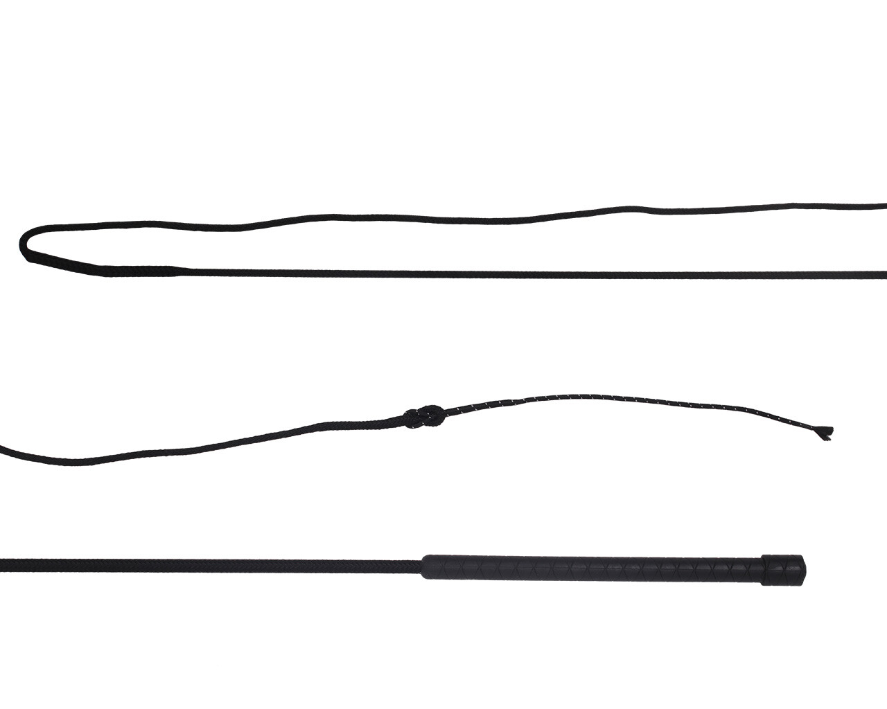 Lunging whip divisible