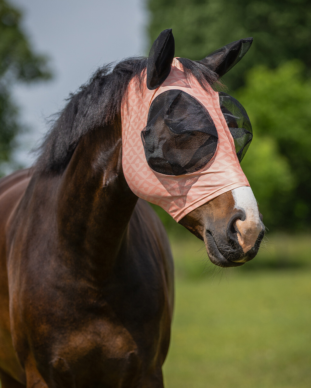 Fly Mask Super bug