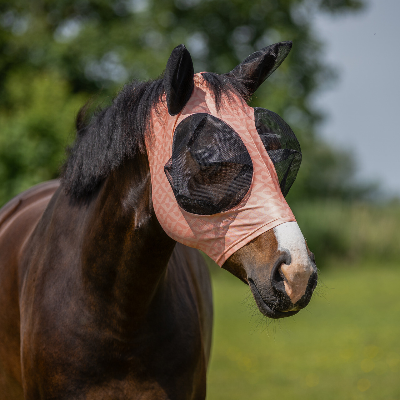 Fly Mask Super bug