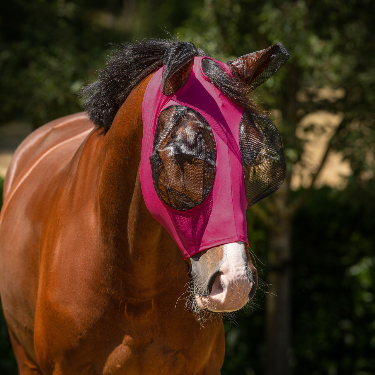 Fly Mask Super bug