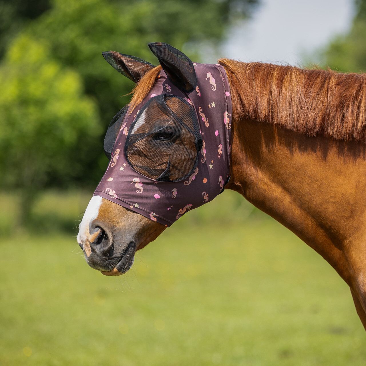 Fly Mask Super bug