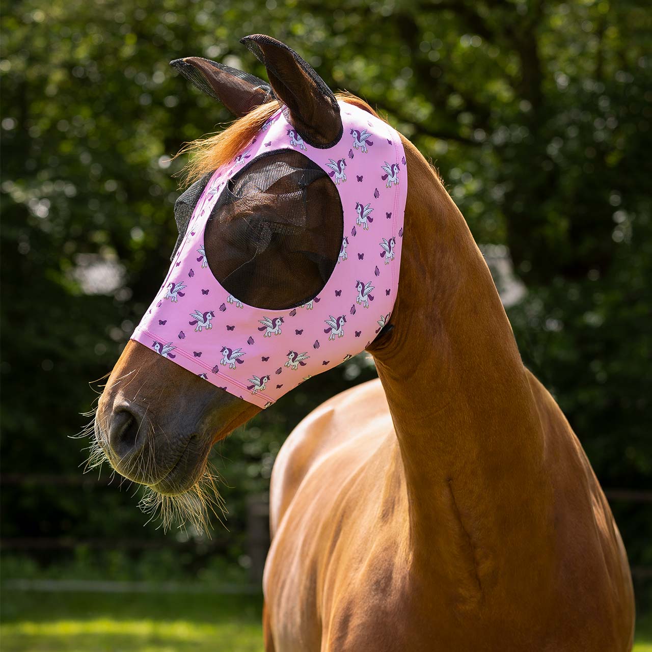 Fly Mask Super bug