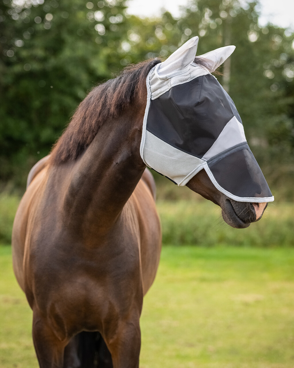 Fly mask Solaire