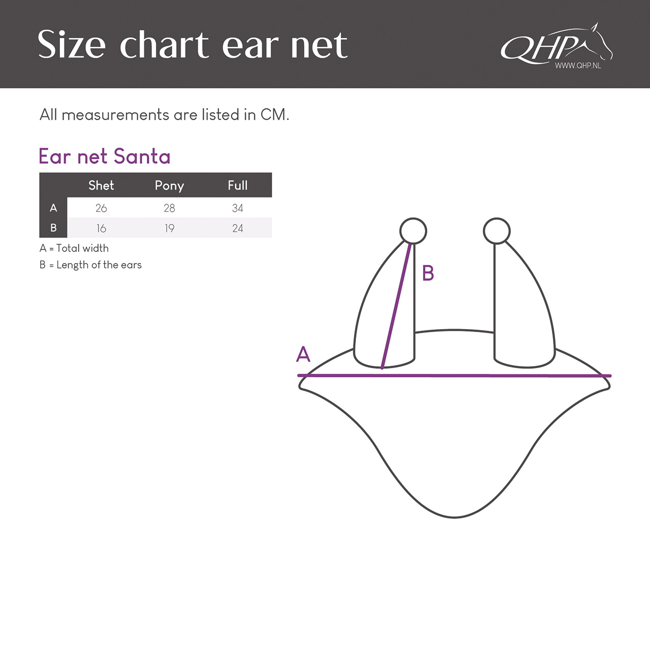 Ear net Santa Christmas