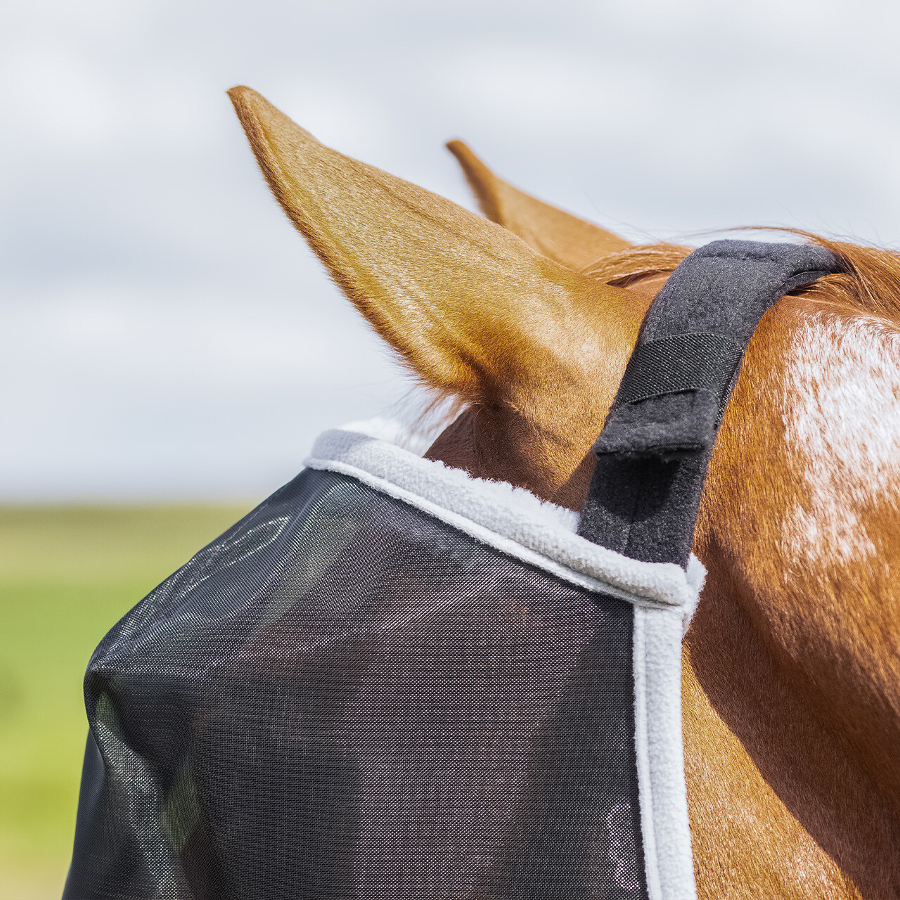 Fly mask Solaire without ear protection
