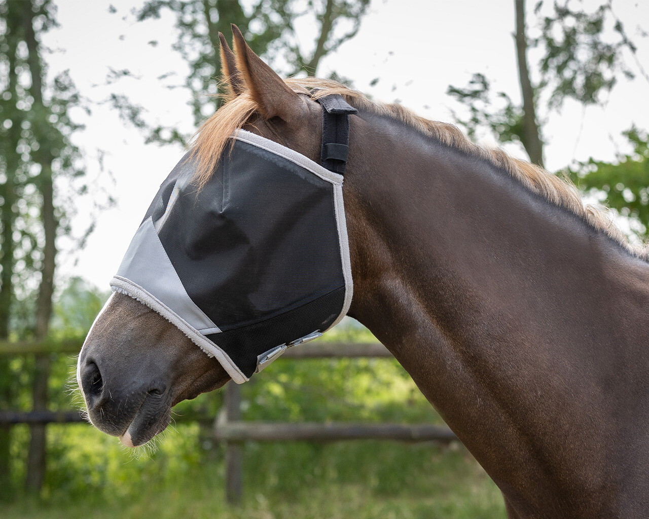 Fly mask Solaire without ear protection