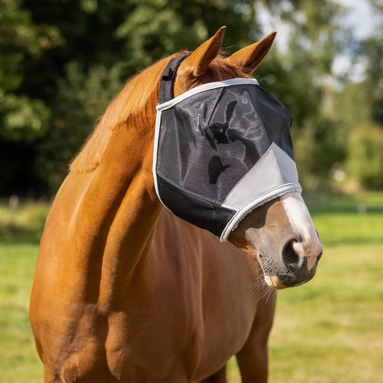 Fly mask Solaire without ear protection