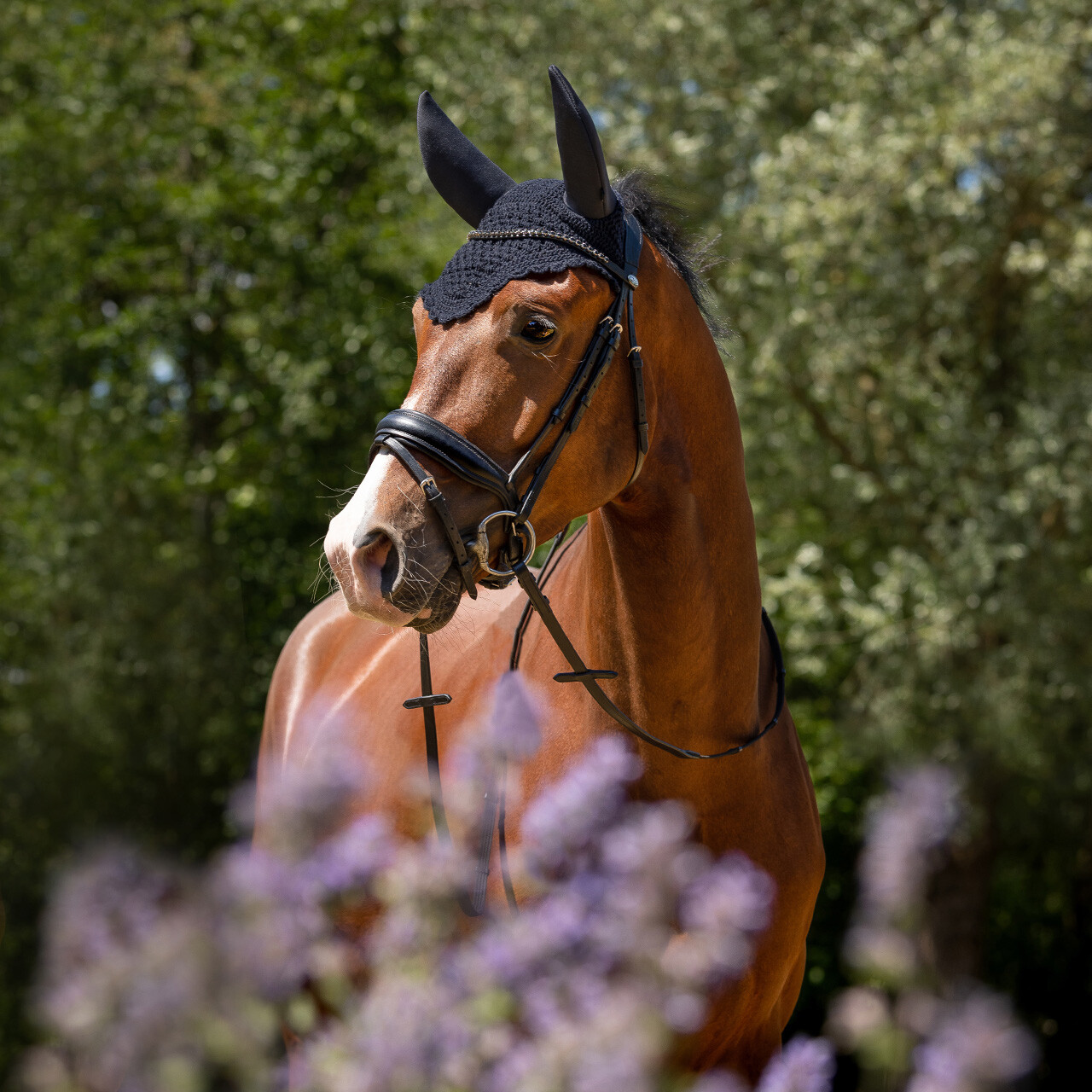 Ear net Flore soundless