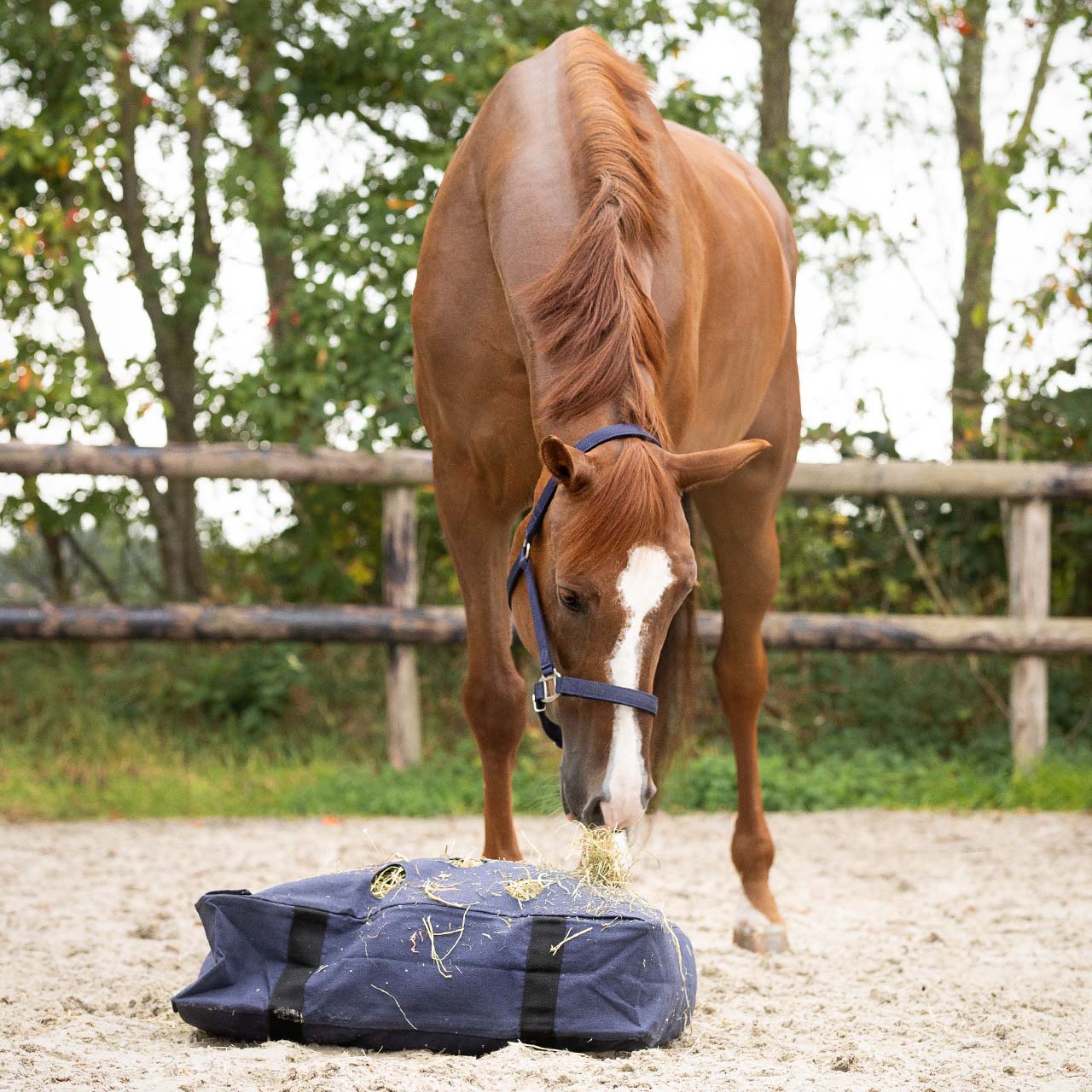 Hay cushion