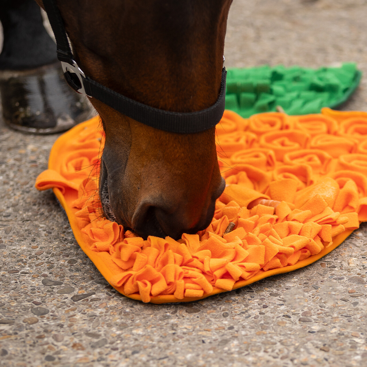 Snuffle mat for horses