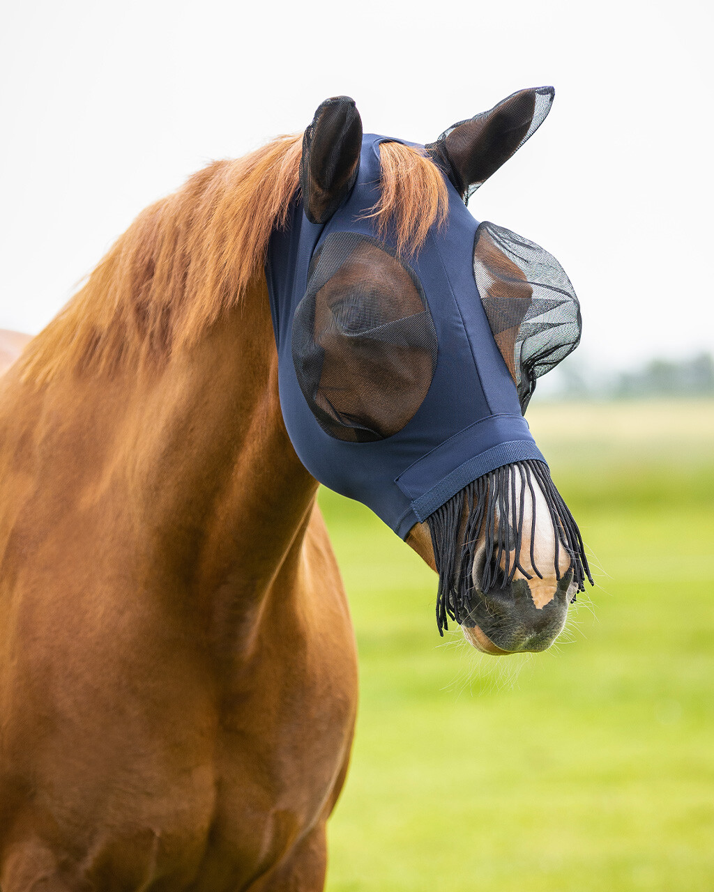 Fly mask Super bug with fringes