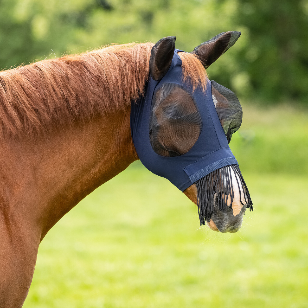 Fly mask Super bug with fringes