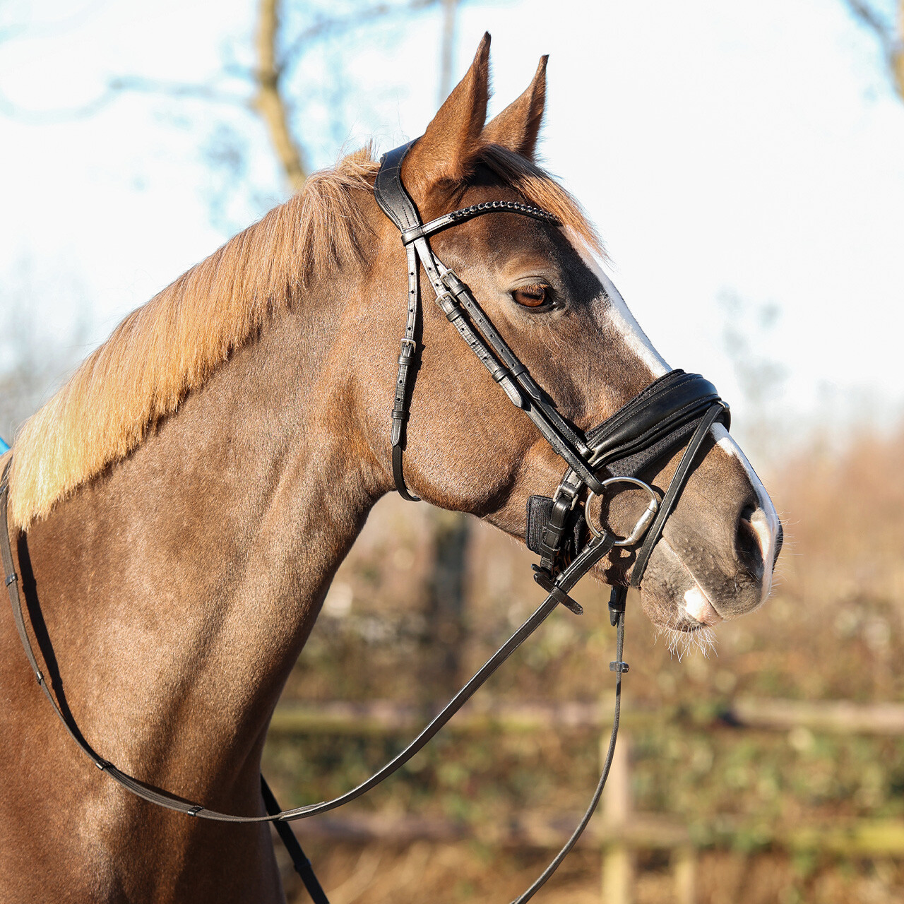 Noseband pad Air Mesh