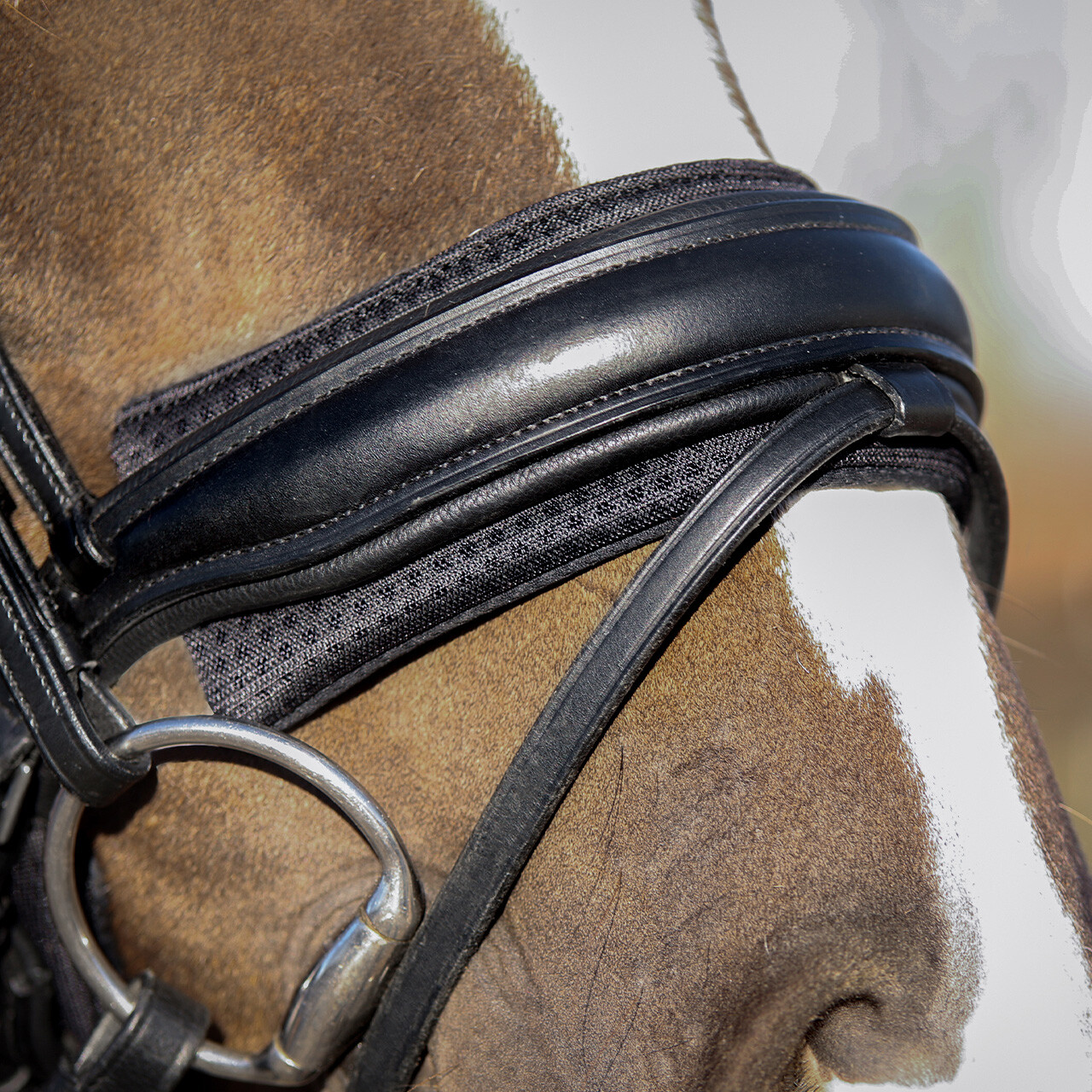 Noseband pad Air Mesh