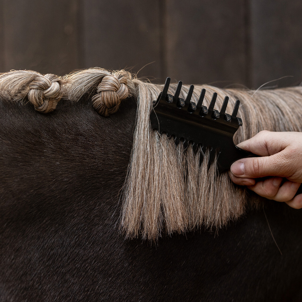 Mane comb with clip